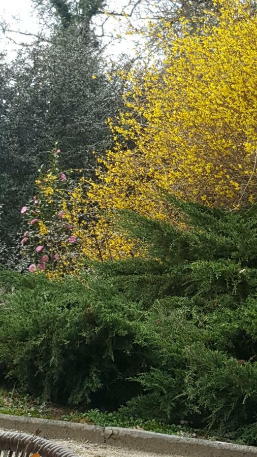 La Belle Chaumiere Bed and Breakfast Bretagne-de-Marsan Εξωτερικό φωτογραφία