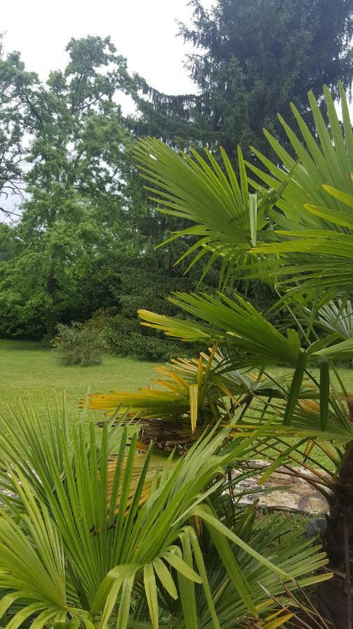 La Belle Chaumiere Bed and Breakfast Bretagne-de-Marsan Εξωτερικό φωτογραφία